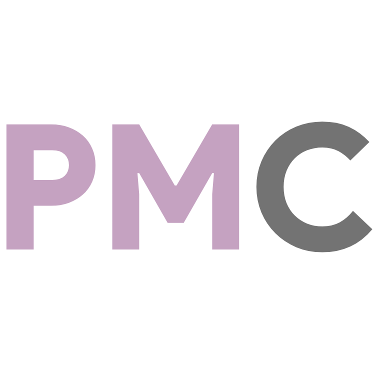 Paid Media Consulting